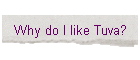 Why do I like Tuva?