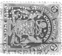 rhodgrn.jpg (26696 bytes)